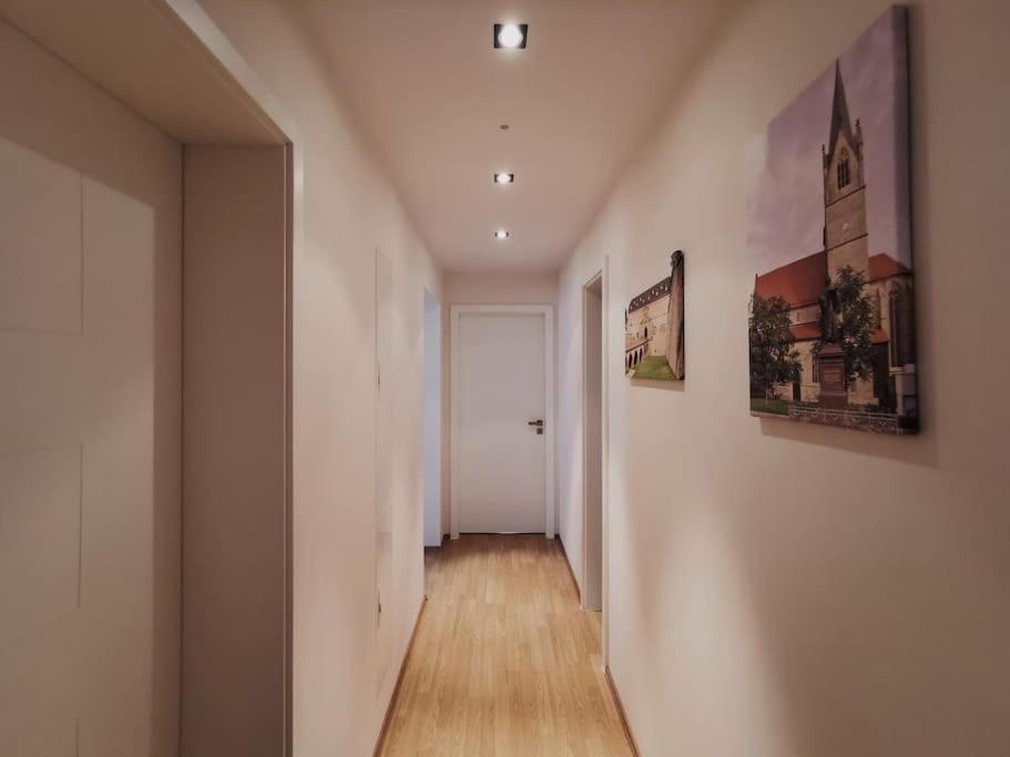 Ferienwohnung Im Bruehl 埃尔福特 外观 照片