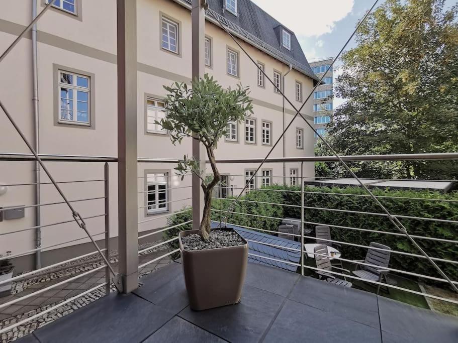 Ferienwohnung Im Bruehl 埃尔福特 外观 照片