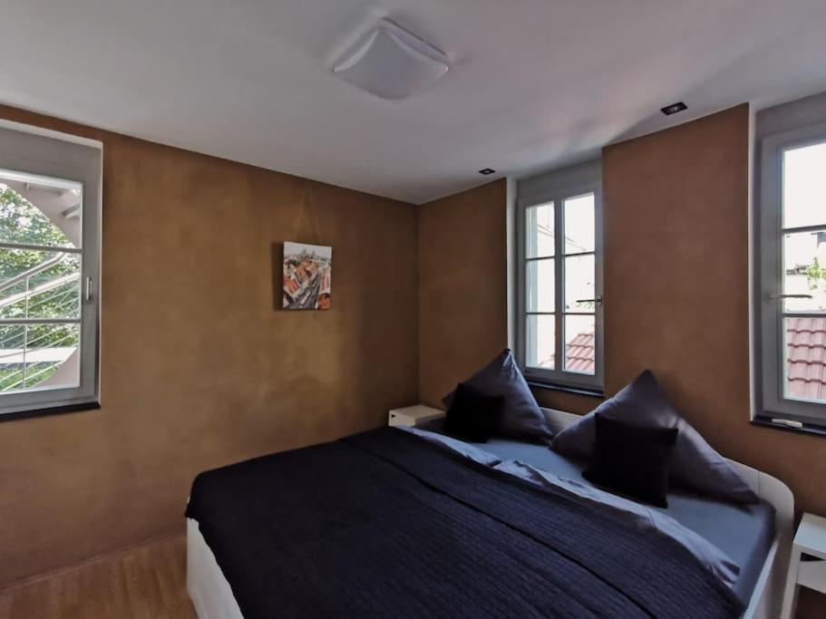 Ferienwohnung Im Bruehl 埃尔福特 外观 照片