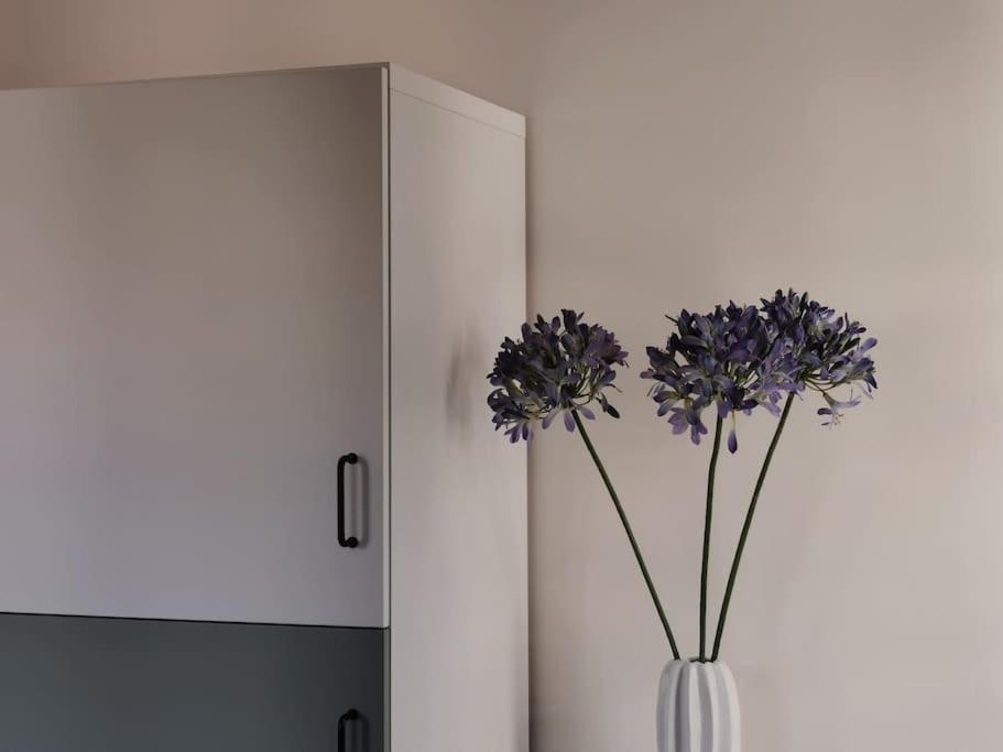 Ferienwohnung Im Bruehl 埃尔福特 外观 照片