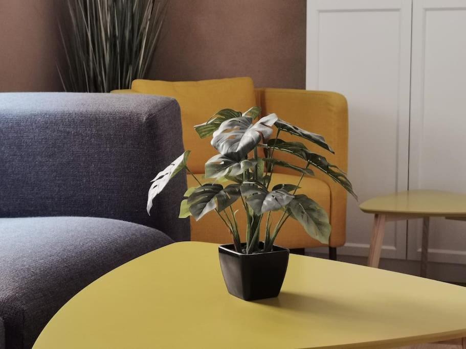 Ferienwohnung Im Bruehl 埃尔福特 外观 照片