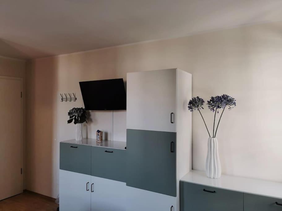 Ferienwohnung Im Bruehl 埃尔福特 外观 照片